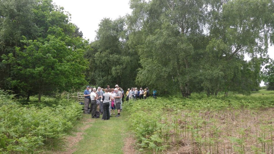 2017-05-31 08 Blythburgh Area.jpg