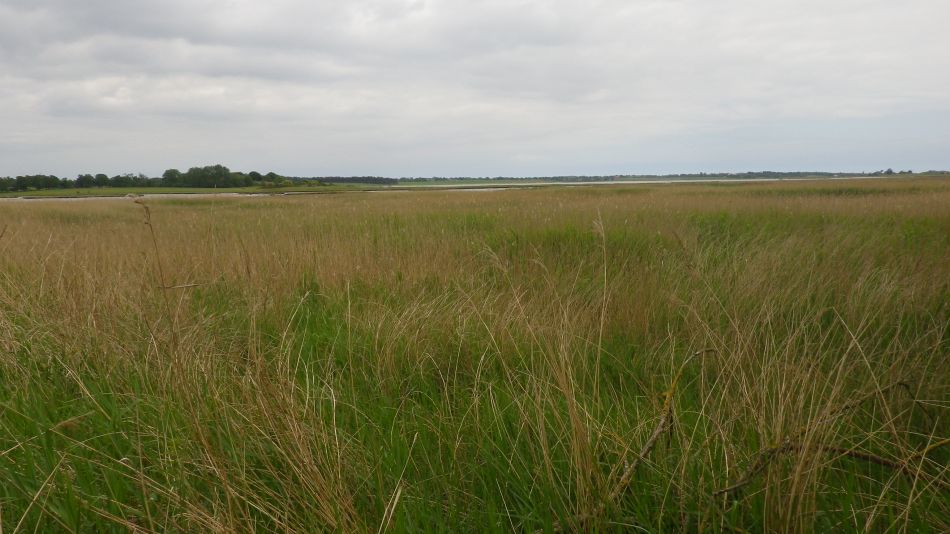 2017-05-31 10 Blythburgh Area.jpg