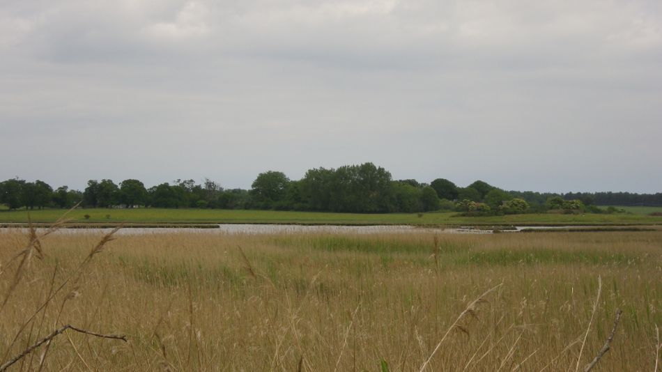 2017-05-31 11 Blythburgh Area.jpg