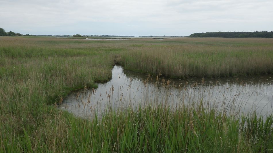 2017-05-31 12 Blythburgh Area.jpg