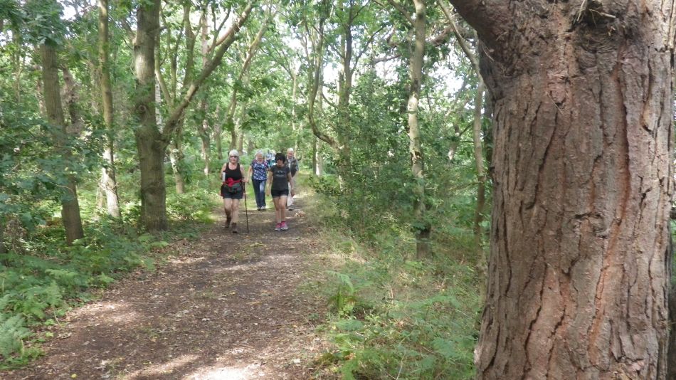 2017-08-19 05 Blythburgh and Southwold.jpg