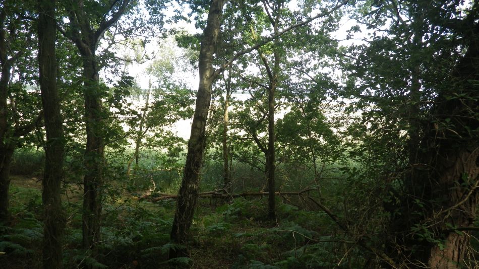 2017-08-19 06 Blythburgh and Southwold.jpg