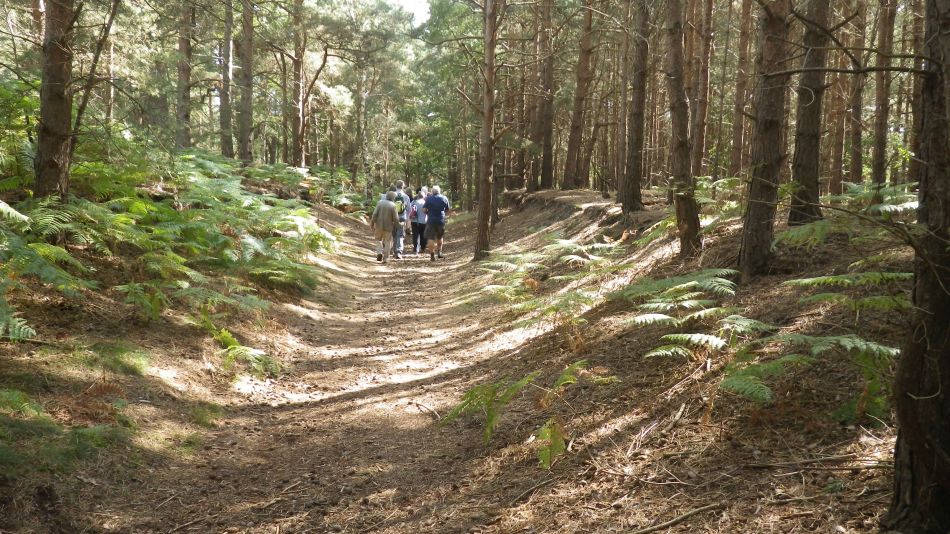 2017-08-19 09 Blythburgh and Southwold.jpg