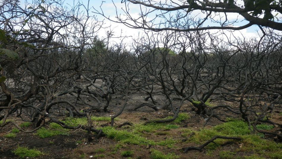 2017-08-19 21 Blythburgh and Southwold.jpg