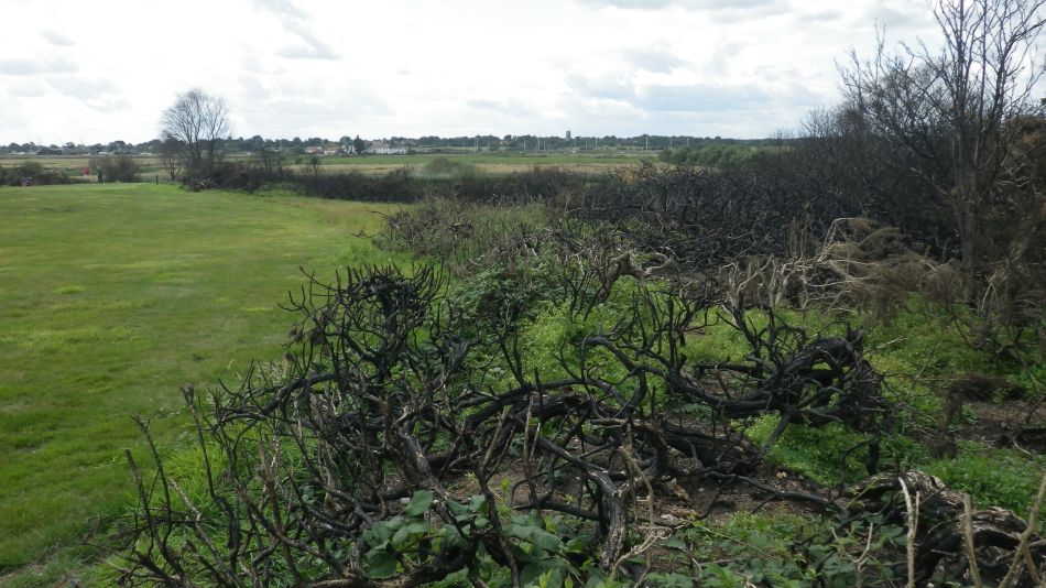 2017-08-19 22 Blythburgh and Southwold.jpg