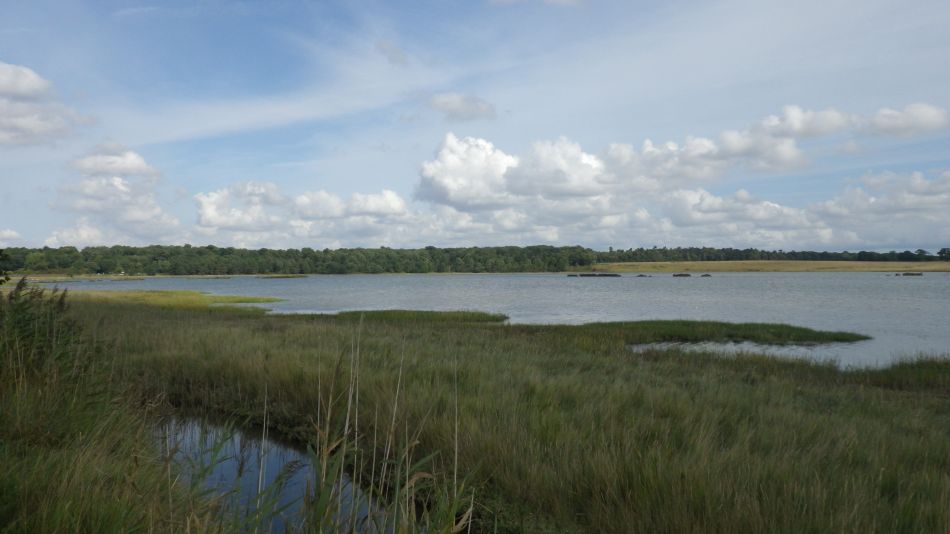 2017-09-03 01 Blythburgh to Walberswick.jpg