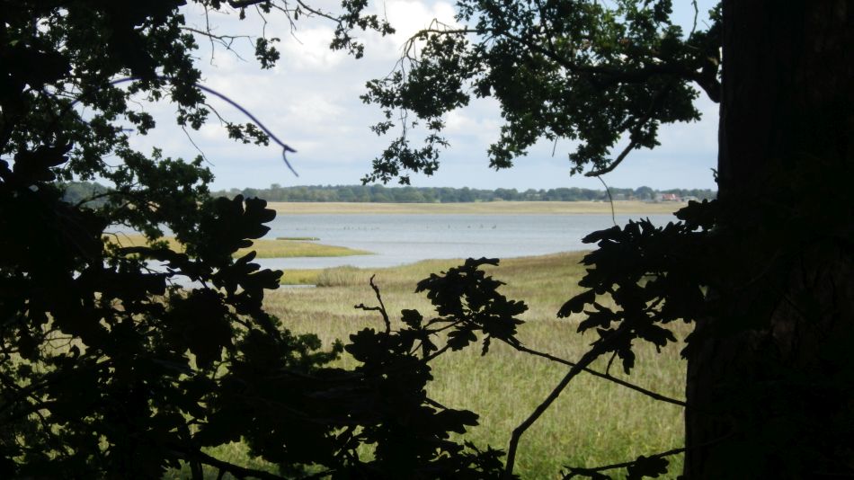 2017-09-03 02 Blythburgh to Walberswick.jpg