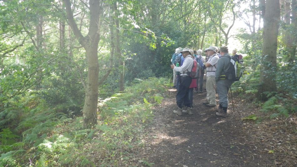 2017-09-03 03 Blythburgh to Walberswick.jpg