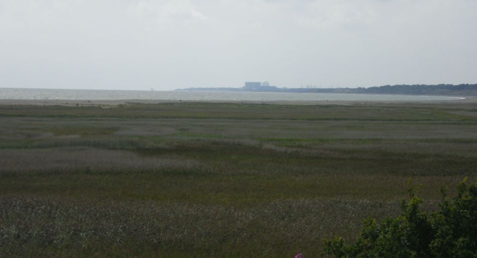 2017-09-03 05 Blythburgh to Walberswick.jpg
