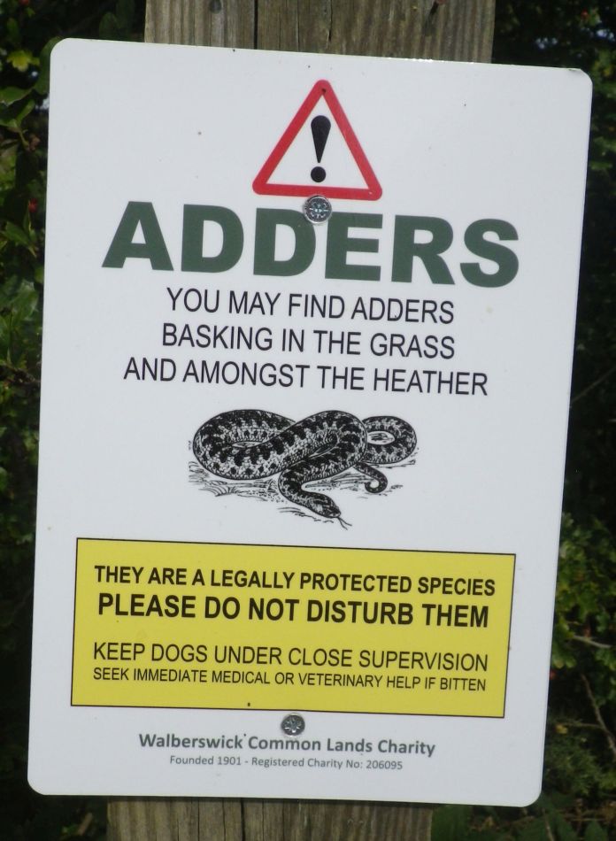 2017-09-03 09 Blythburgh to Walberswick.jpg