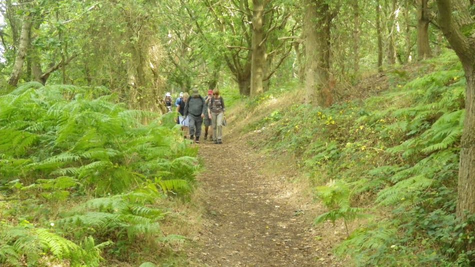 2017-09-03 10 Blythburgh to Walberswick.jpg