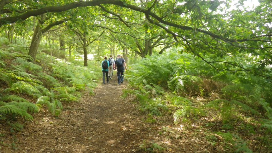 2017-09-03 11 Blythburgh to Walberswick.jpg