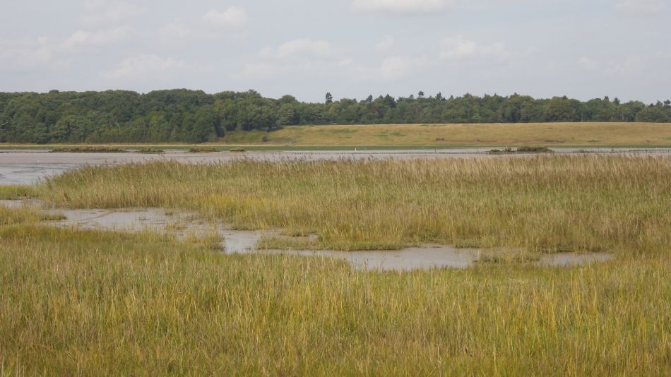 2017-09-03 14 Blythburgh to Walberswick.jpg