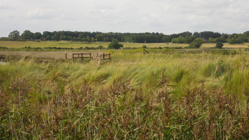 2017-09-03 17 Blythburgh to Walberswick.jpg
