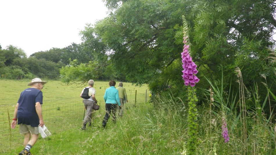 2019-06-26 07 Blythburgh 4.6.jpg