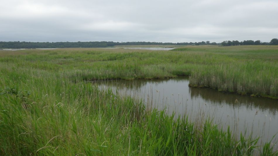 2019-06-26 13 Blythburgh 4.6.jpg