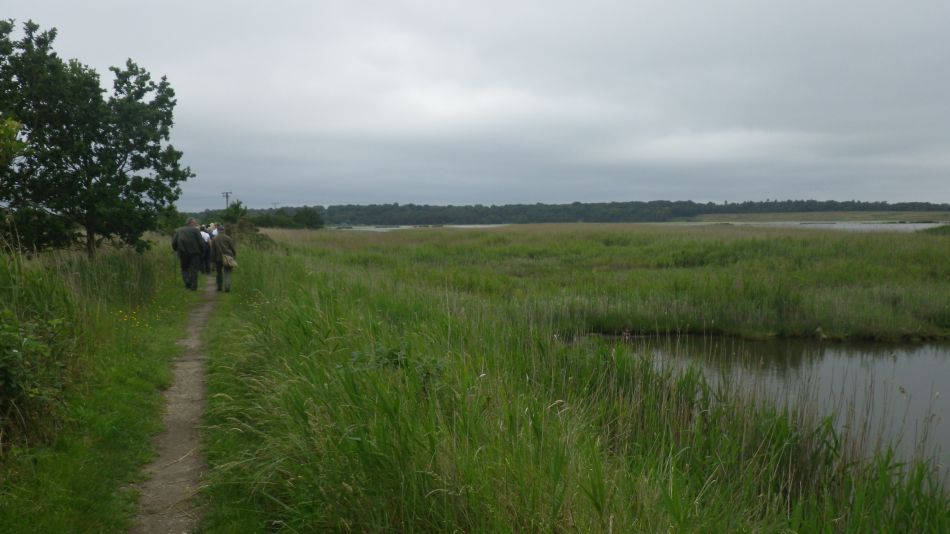 2019-06-26 14 Blythburgh 4.6.jpg