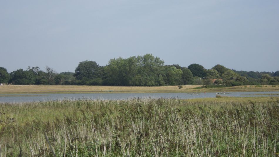 2019-08-31 13 Blythburgh and Walberswick.jpg