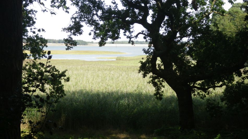 2019-08-31 14 Blythburgh and Walberswick.jpg