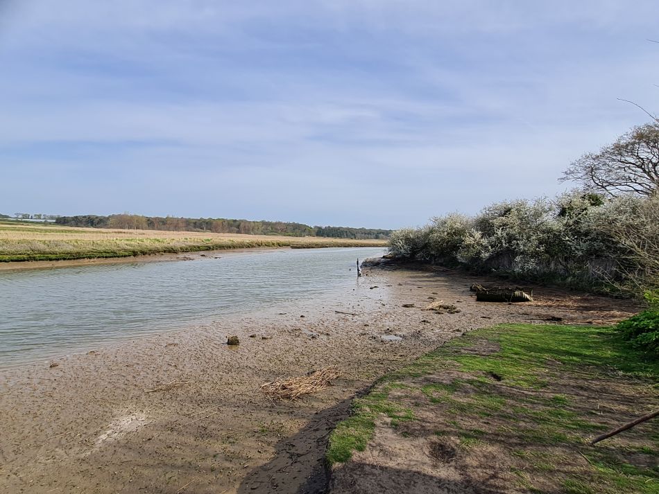 2022-04-20 05 Blythburgh and Walberswick.jpg
