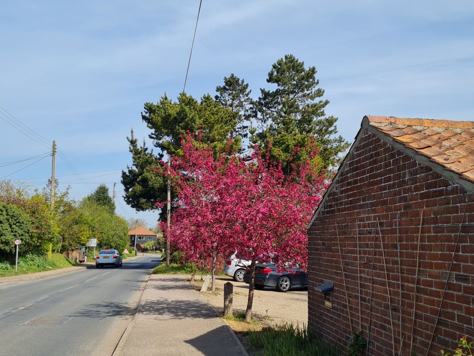 2022-04-20 07 Blythburgh and Walberswick.jpg