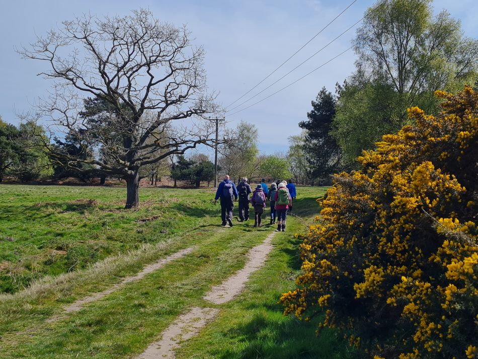 2022-04-20 09 Blythburgh and Walberswick.jpg