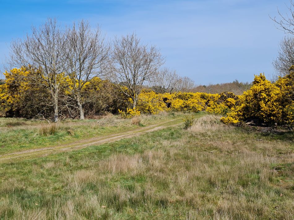 2022-04-20 12 Blythburgh and Walberswick.jpg