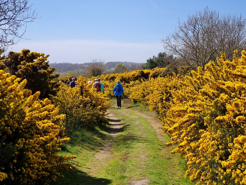 2022-04-20 13 Blythburgh and Walberswick.jpg