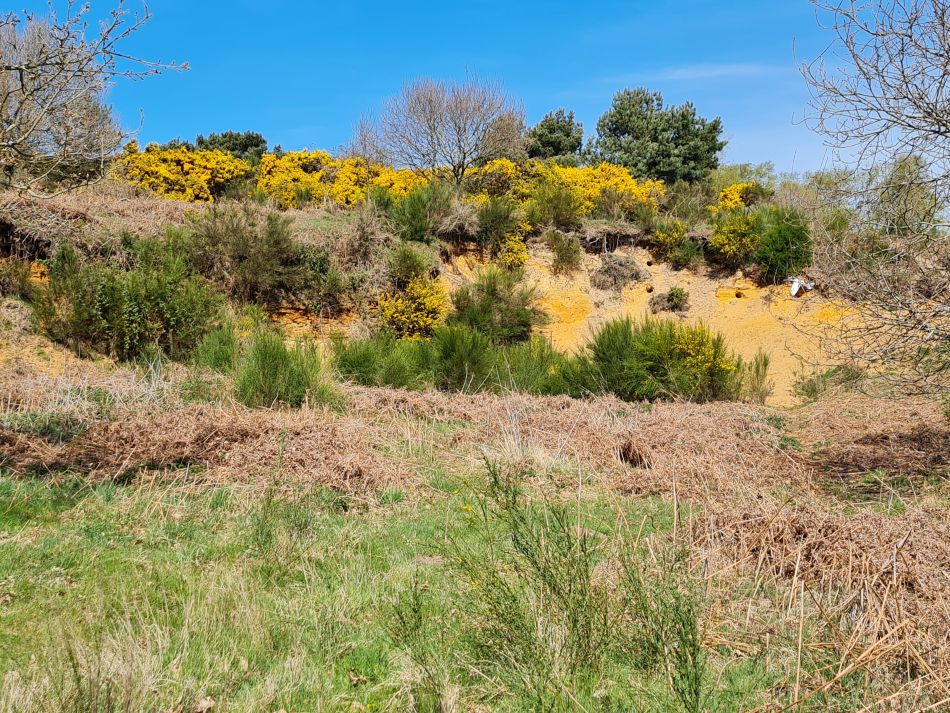 2022-04-20 15 Blythburgh and Walberswick.jpg