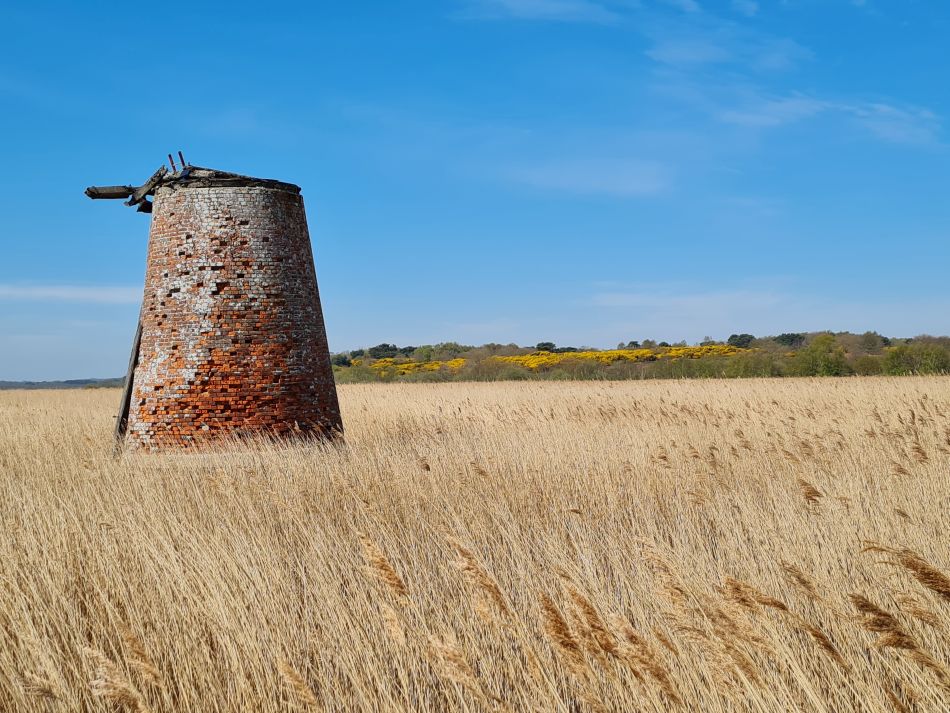 2022-04-20 16 Blythburgh and Walberswick.jpg