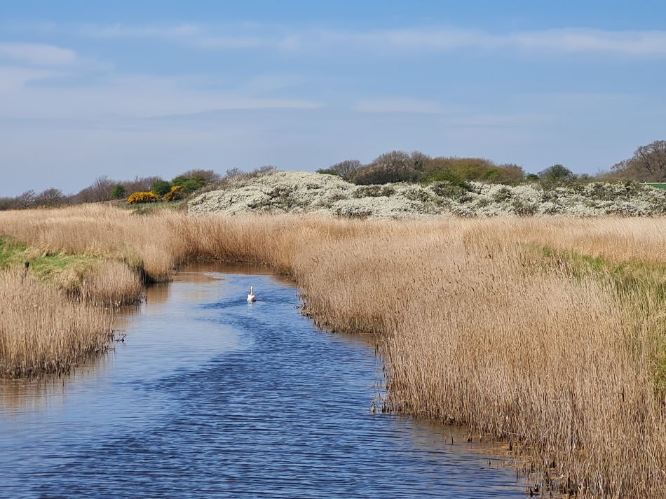 2022-04-20 18 Blythburgh and Walberswick.jpg