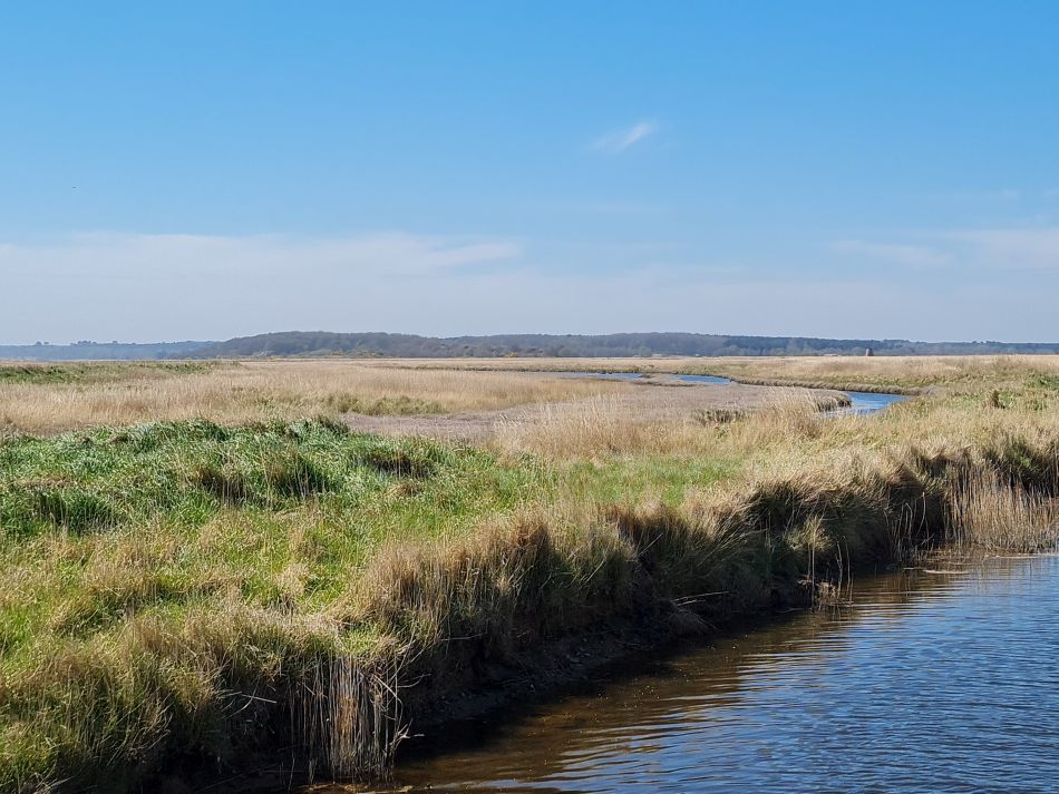2022-04-20 19 Blythburgh and Walberswick.jpg
