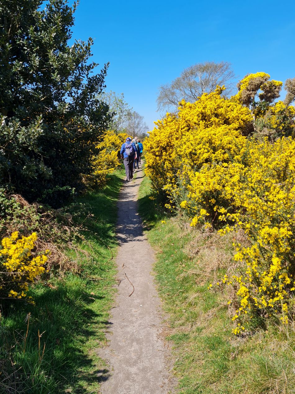 2022-04-20 23 Blythburgh and Walberswick.jpg