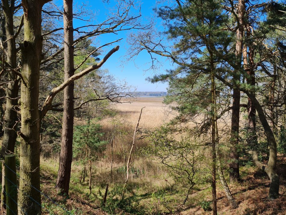2022-04-20 25 Blythburgh and Walberswick.jpg