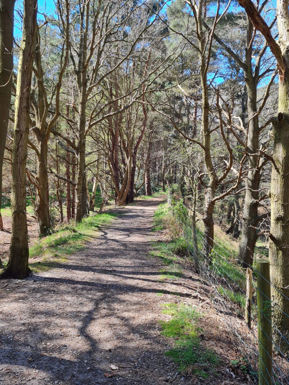 2022-04-20 26 Blythburgh and Walberswick.jpg