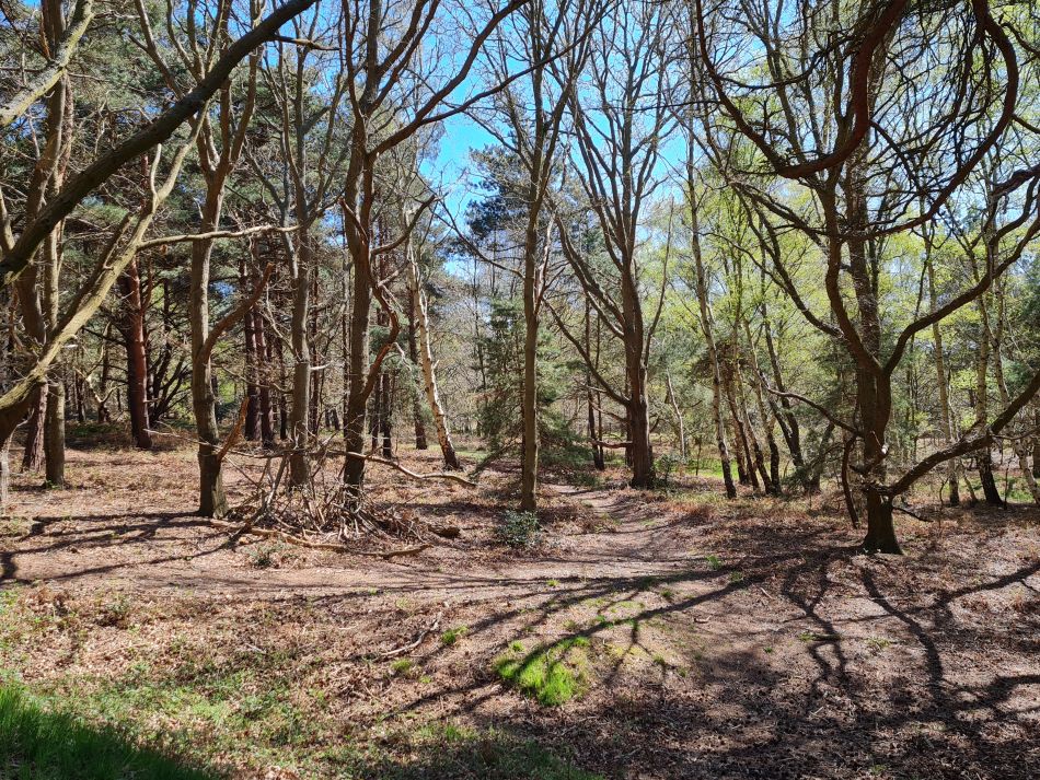 2022-04-20 27 Blythburgh and Walberswick.jpg