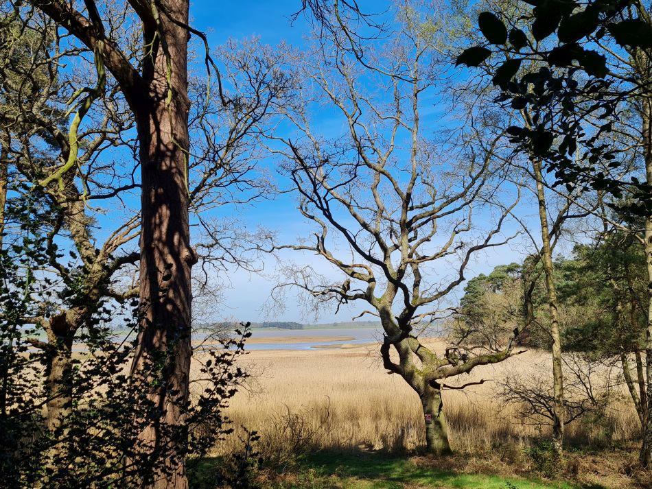 2022-04-20 28 Blythburgh and Walberswick.jpg
