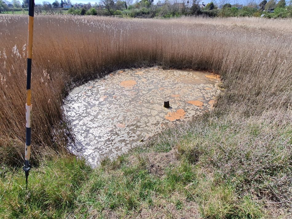 2022-04-20 29 Blythburgh and Walberswick.jpg