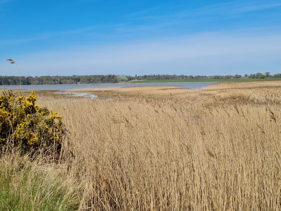 2022-04-20 30 Blythburgh and Walberswick.jpg