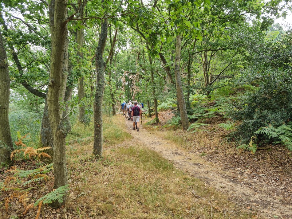 2022-08-17 13 Blythburgh.jpg