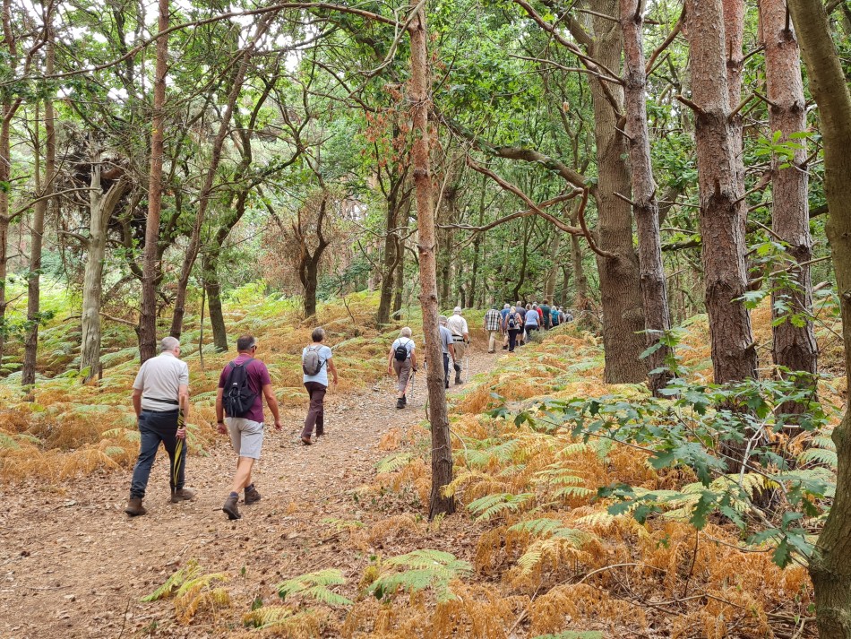 2022-08-17 15 Blythburgh.jpg