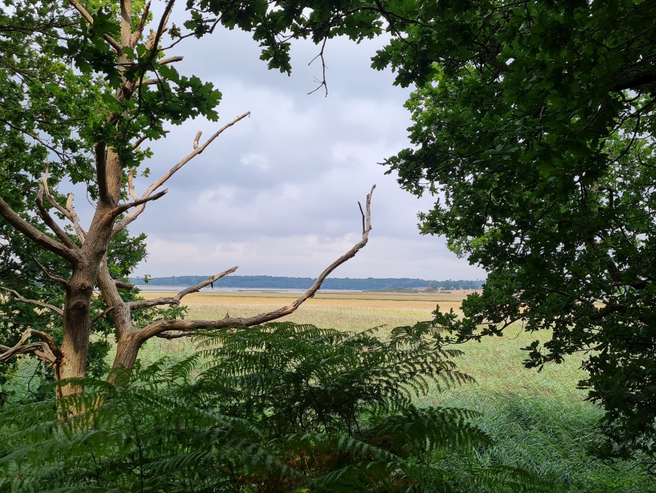 2022-08-17 16 Blythburgh.jpg