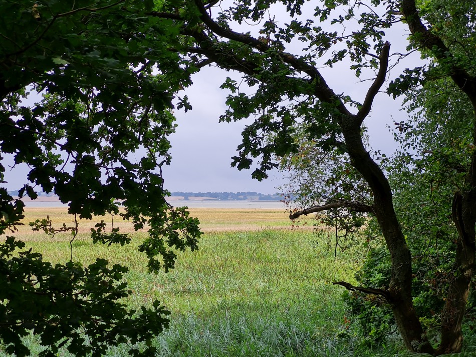 2022-08-17 17 Blythburgh.jpg