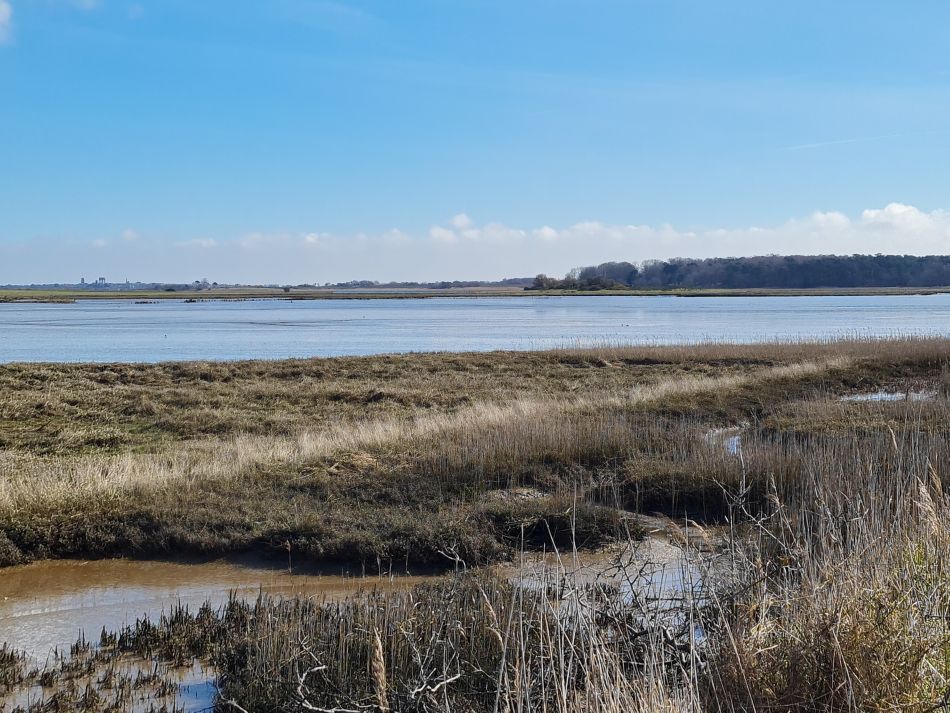 2023-03-15 14 Blythburgh.jpg