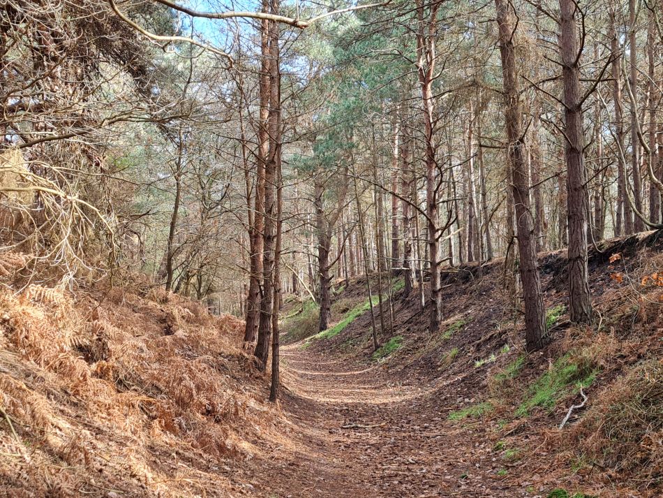 2023-03-15 15 Blythburgh.jpg