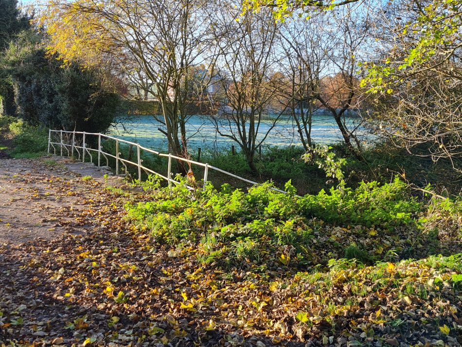 2021-11-22 05 Avebury.jpg