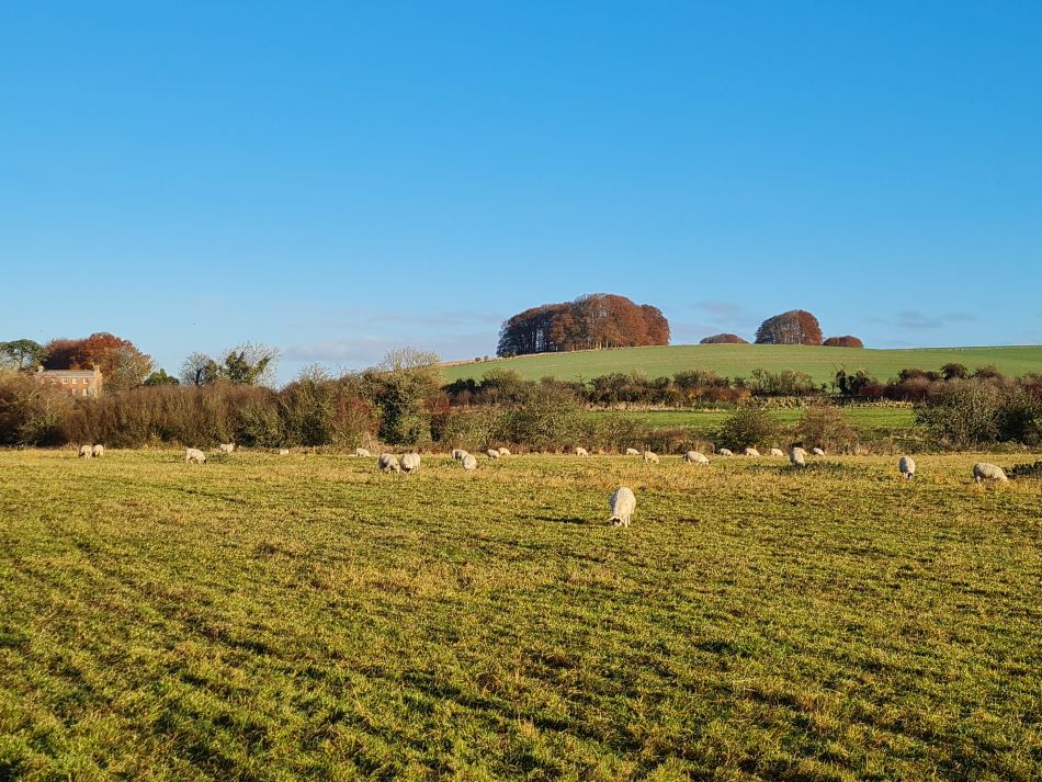 2021-11-22 07 Avebury.jpg