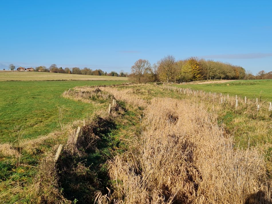 2021-11-22 31 Avebury.jpg