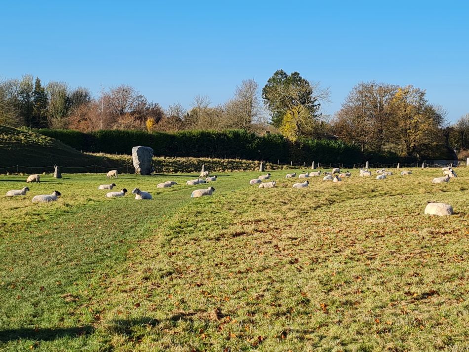 2021-11-22 40 Avebury.jpg