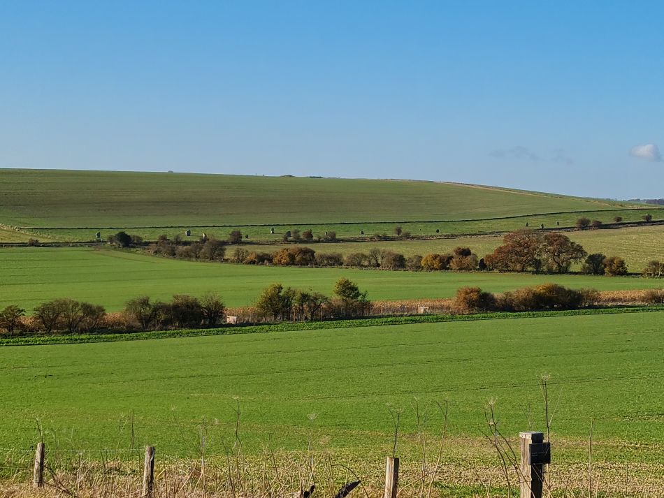 2021-11-22 57 Avebury.jpg